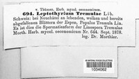 Titaeosporina tremulae image